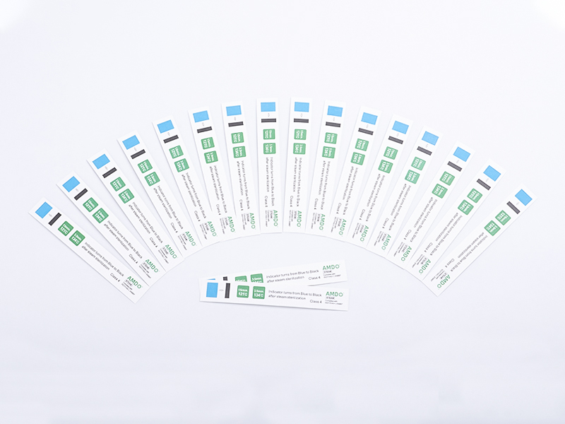 AMD Vapor Tonde Verba Paleonemertea Class IV